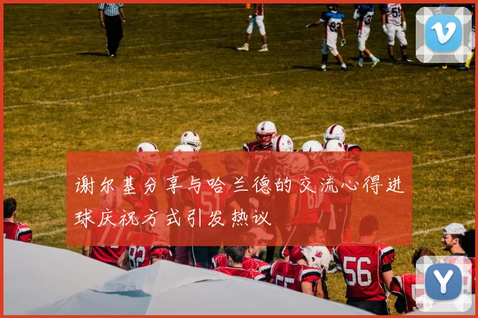 谢尔基分享与哈兰德的交流心得进球庆祝方式引发热议