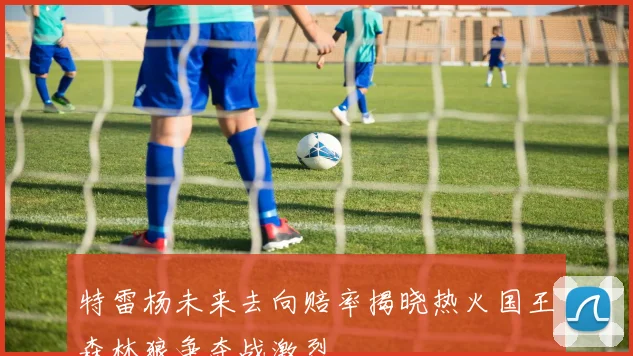 特雷杨未来去向赔率揭晓热火国王森林狼争夺战激烈
