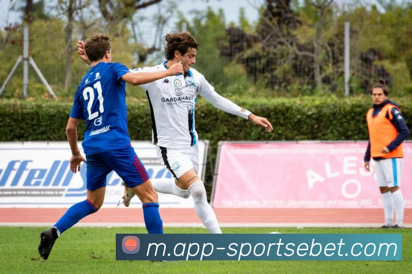 易倍体育APP 封面图